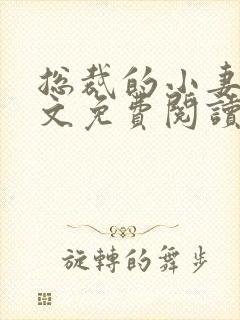 总裁的小妻子全文免费阅读