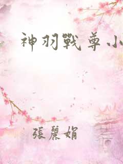 神羽战尊小说