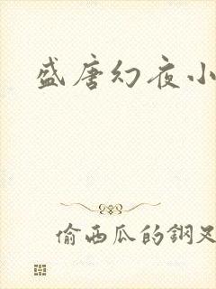 盛唐幻夜小说