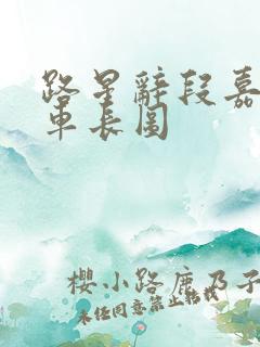 路星辞段嘉衍肉车长图