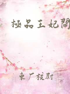极品王妃闹王府