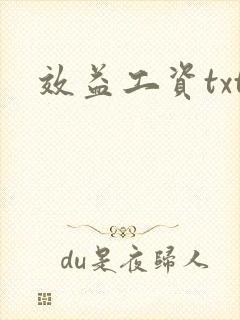 效益工资txt