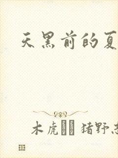 天黑前的夏天