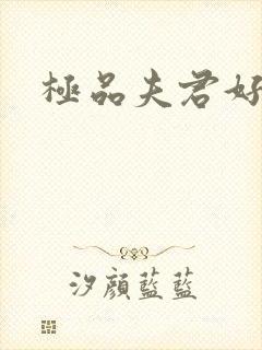 极品夫君好又多