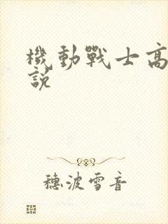 机动战士高达小说