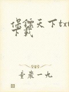 保镖天下txt下载