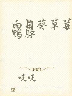 向日葵草莓丝瓜鸭脖