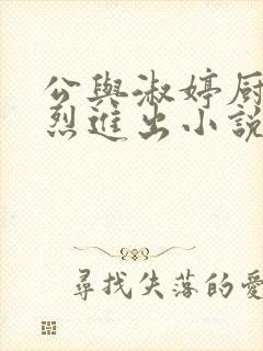 公与淑婷厨房猛烈进出小说