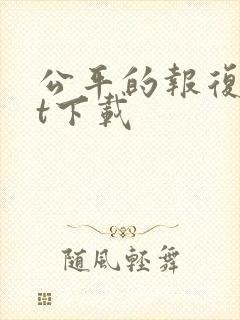 公平的报复txt下载
