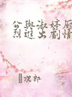 公与淑婷厨房猛烈进出剧情介绍