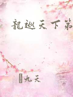 龙巡天下第四部