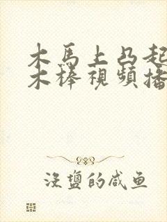 木马上凸起电动木棒视频播放