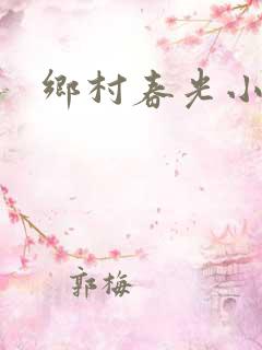 乡村春光小说