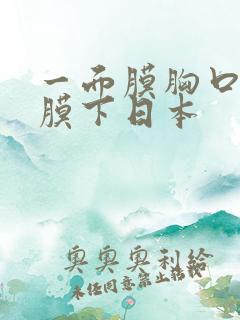 一面膜胸口一面膜下日本