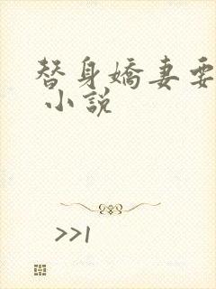 替身娇妻要离婚 小说