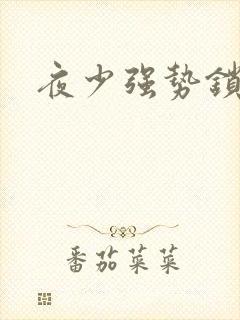 夜少强势锁婚