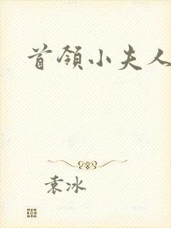 首领小夫人