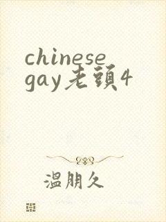 chinesegay老头4