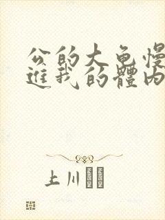 公的大龟慢慢挺进我的体内