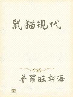 鼠猫现代