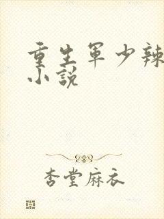 重生军少辣娇妻小说