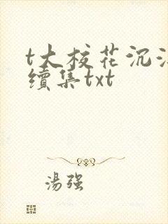 t大校花沉浮录续集txt