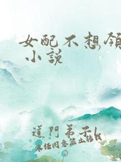 女配不想领便当 小说