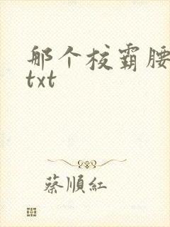 那个校霸腰好软txt