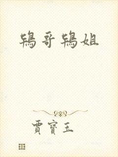 鸨哥鸨姐