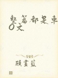 整篇都是车的PO文