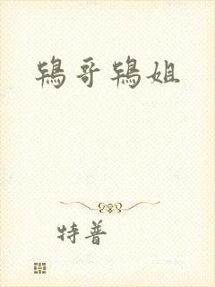 鸨哥鸨姐