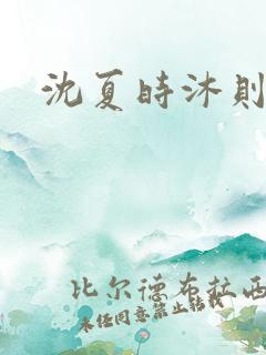 沈夏时沐则