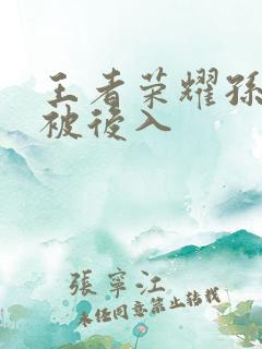 王者荣耀孙尚香被后入