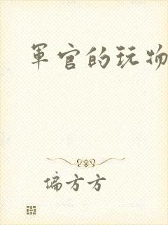军官的玩物
