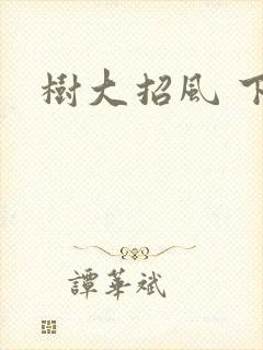 树大招风 下载