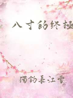 八寸的终极凶器