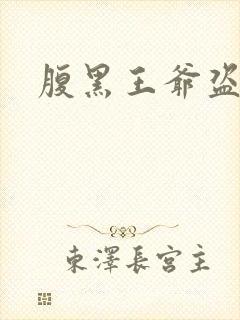 腹黑王爷盗墓妃