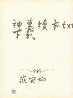 神墓续本txt下载