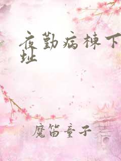 夜勤病栋下载地址