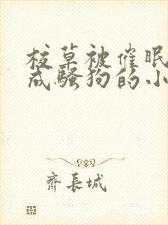 校草被催眠洗脑成骚狗的小说