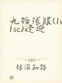 九号球服(1v1sc)逢迎