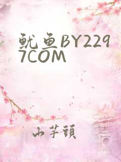 鱿鱼BY2297COM