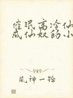 催眠高冷仙奴变成仙奴的小说