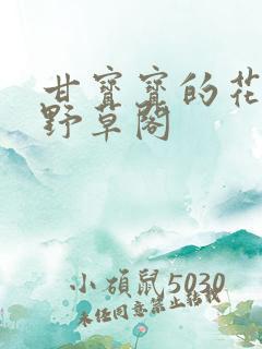 甘宝宝的花苞澜野草阁