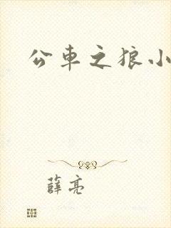 公车之狼小说