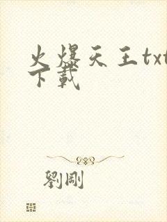 火爆天王txt下载