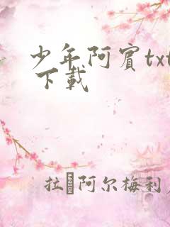 少年阿宾txt 下载
