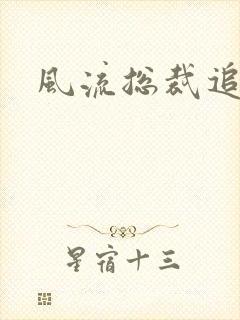 风流总裁追妻记