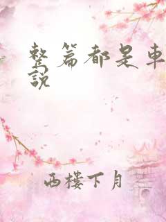 整篇都是车的小说