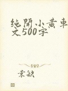 纯开小黄车小短文500字
